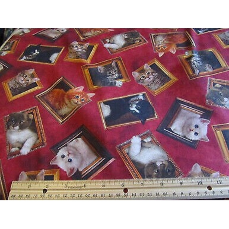Literary Kittens Framed Kitties Brick Red by Quilting Treasures