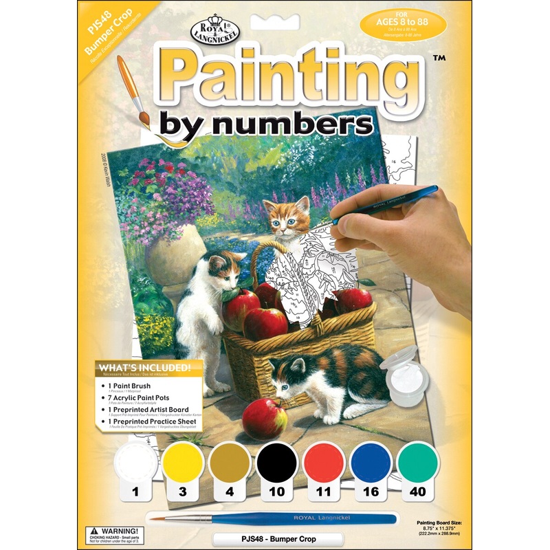 Royal & Langnickel(R) Small Paint By Number Kit 8.75″X11.75″